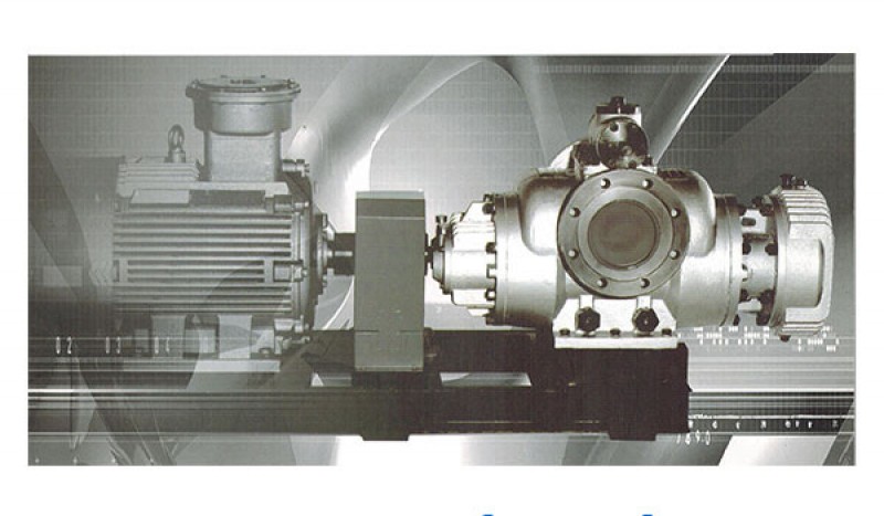 HW and HM Series double screw pump - Image 1