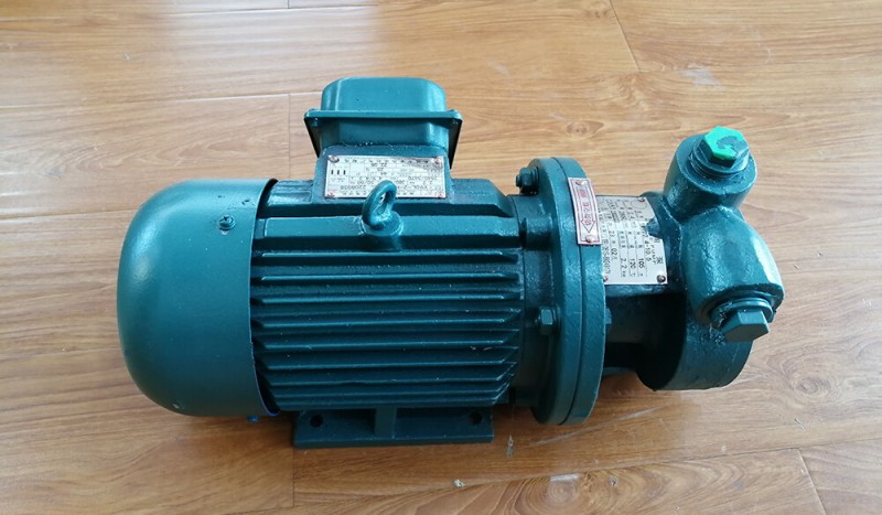 Marine Single-stage Whirlpool pump 1WTD2.4-10.5 - Image 1