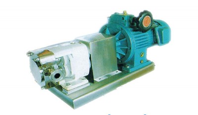 LQ3A Series Stainless Steel Anti-corrosive Centrifugal Pump Rotor Pump thumbnail 1