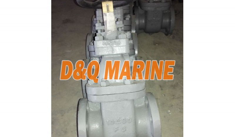 Marine Cast Iron 10K Gate Valve JIS F7364 - Image 1