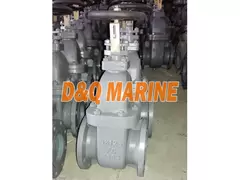 Marine Cast Iron 5K Gate Valve JIS F7363