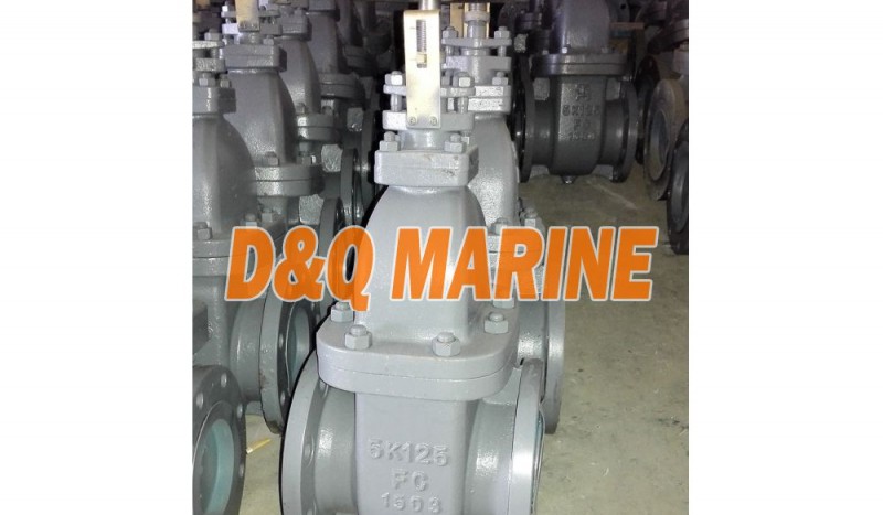 Marine Cast Iron 5K Gate Valve JIS F7363 - Image 1