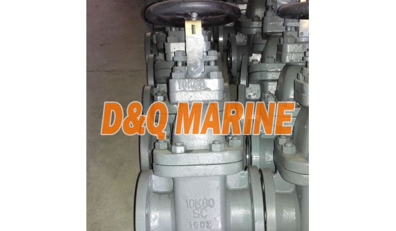 Marine Cast Steel 10K Gate Valve JIS F7366 - Image 1