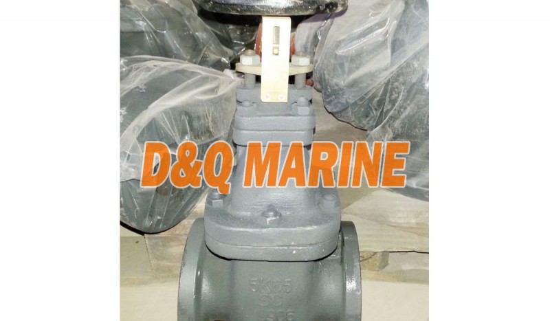 Marine Cast Steel 5K Gate Valve JIS F7363C - Image 1