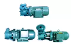 Model W Single Stage Vortex Pump