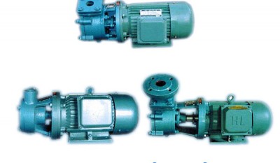 Model W Single Stage Vortex Pump thumbnail 1