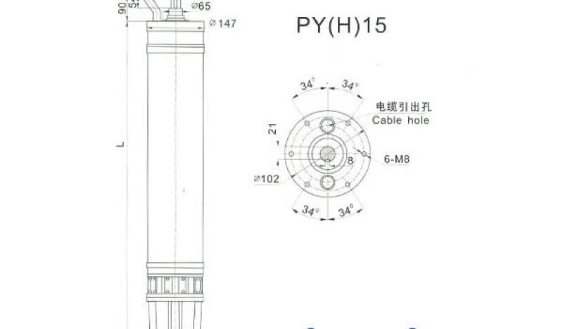 PY(H)15 Series water(seawater) submersible electric motors - Image 1