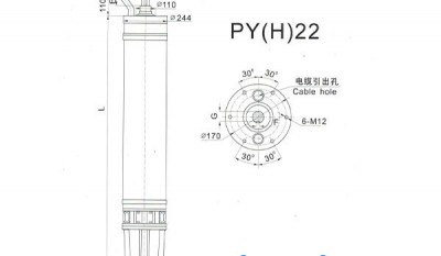 PY(H)22 Series water(seawater) submersible electric motors thumbnail 1