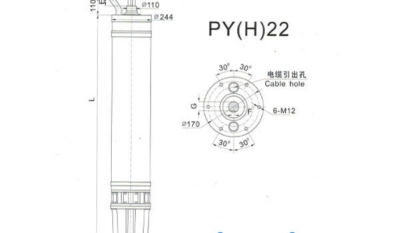 PY(H)22 Series water(seawater) submersible electric motors - Image 1