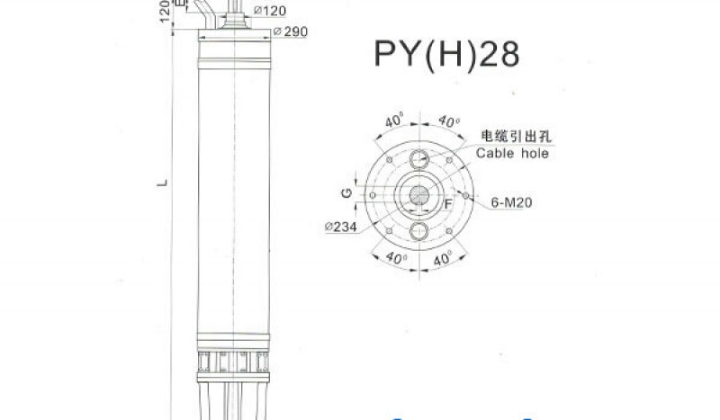 PY(H)28 Series water(seawater) submersible electric motors - Image 1