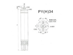 PY(H)34 Series water(seawater) submersible electric motors