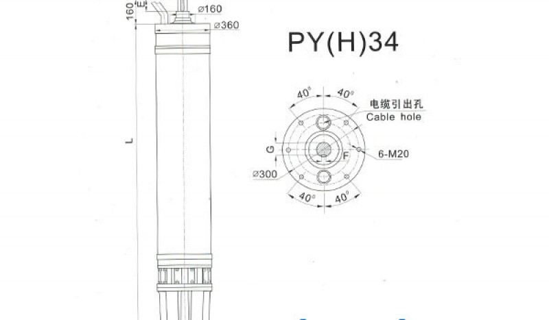 PY(H)34 Series water(seawater) submersible electric motors - Image 1