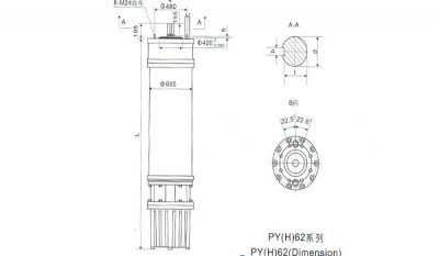 PY(H)62 Series water(seawater) submersible electric motors thumbnail 1