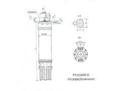 PY(H)66 Series water(seawater) submersible electric motors