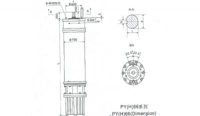 PY(H)66 Series water(seawater) submersible electric motors thumbnail 1