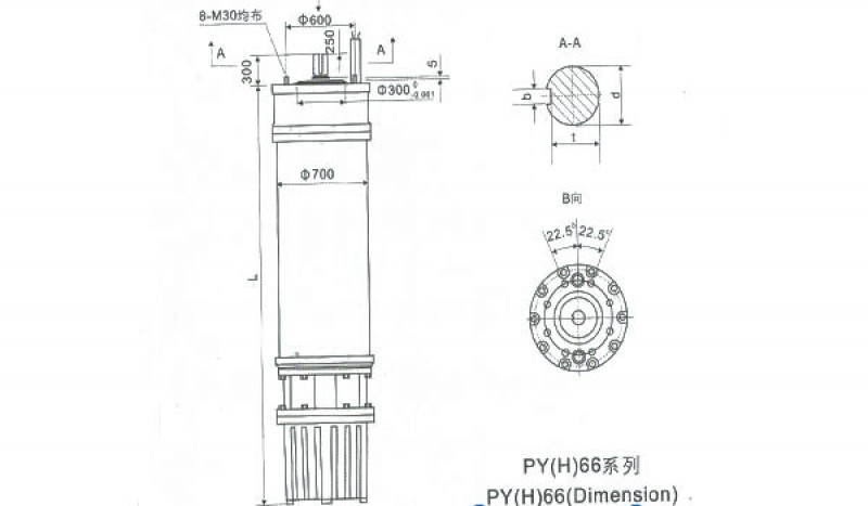 PY(H)66 Series water(seawater) submersible electric motors - Image 1