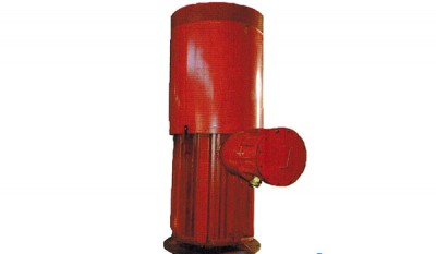 PYCH Series Vertical hollow-shaft electric motor thumbnail 1