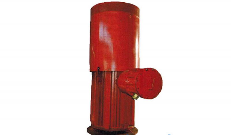 PYCH Series Vertical hollow-shaft electric motor - Image 1
