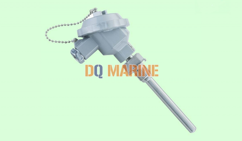 SBWZP Temperature Transmitter - Image 3
