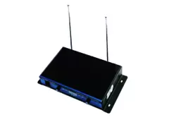 SY-866 Wireless Microphone