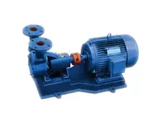 W Series Perpheral Pump