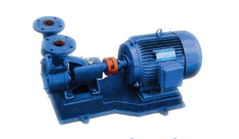 W Series Perpheral Pump - Image 1