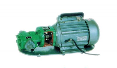 WCB Series Micro Gear Oil Line Pump thumbnail 1