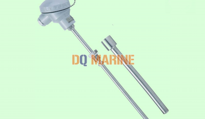 WZPKB-2313 Temperature Transmitter and Sensor thumbnail 1