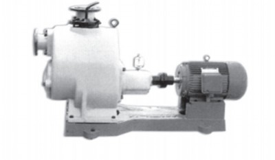 WZW series self-priming polluted water pump thumbnail 1