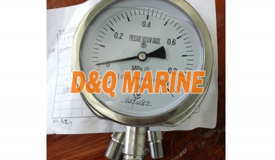 YC-100T-N Pressure Gauge thumbnail 1
