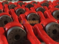 YDS Swivel Hoist Ring