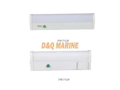 ZYB17-C/D/E/F Fluorescent Mirror Light