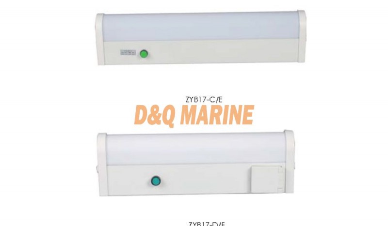 ZYB17-C/D/E/F Fluorescent Mirror Light - Image 1