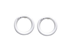 Circle Fluorescent Lamps