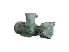 DYB-300/400 Series Vane Pump