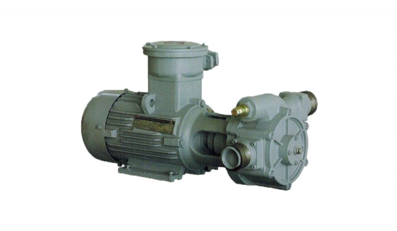 DYB-300/400 Series Vane Pump - Image 1