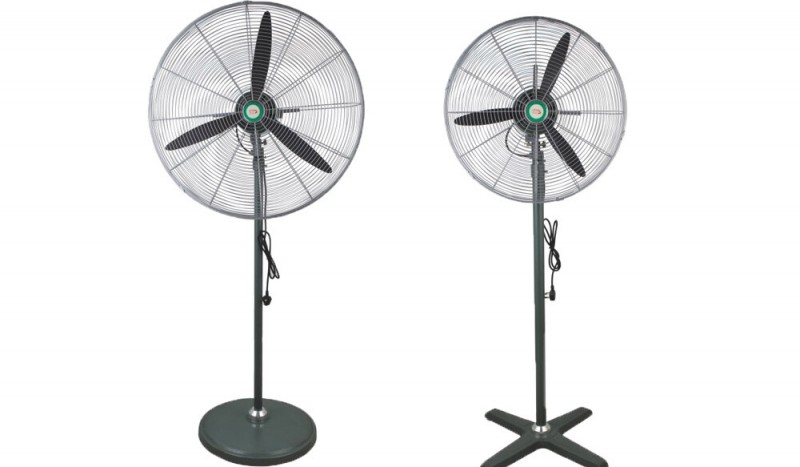 Luxury Industry Fan - Image 1
