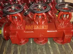 Marine Flanged Cast Iron Single Arrangement Suction Stop Box Valve GB/T1854-93