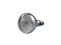 Self Ballasted Mercury Reflector Lamps